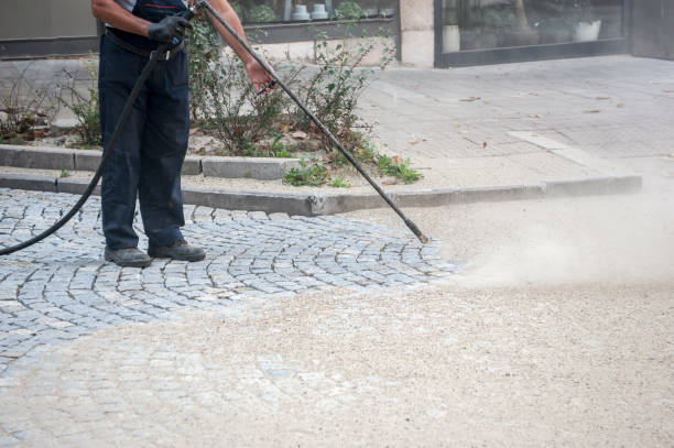 Best Winterizing Services  in Catonsville, MD