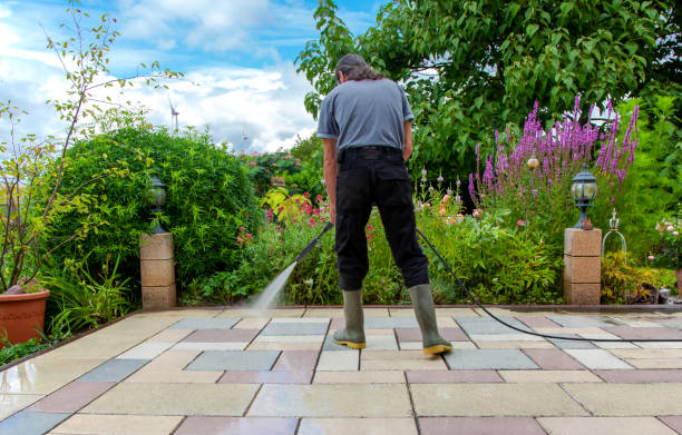Best Sidewalk and Walkway Cleaning  in Catonsville, MD